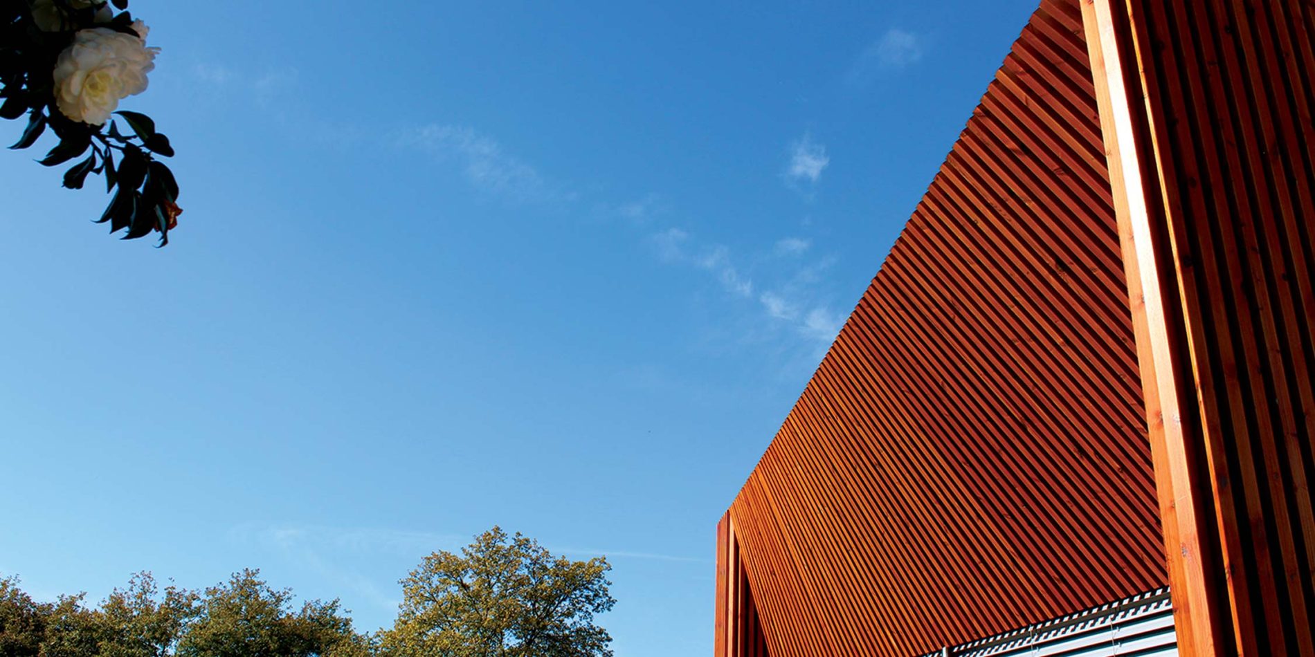 Arquitetura bioclimática